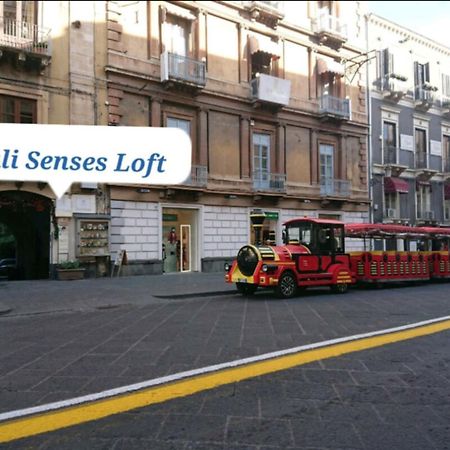 Vila Siculi Senses Loft CTA Exteriér fotografie